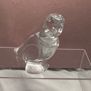 NWT Baccarat Crystal Parrot